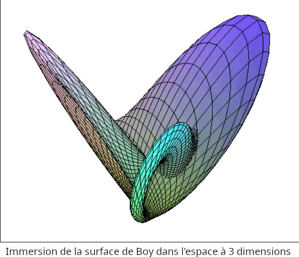 Surface de Boy.jpg